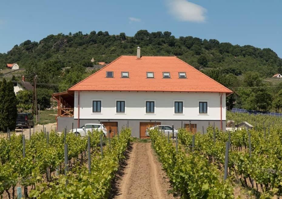 Somlo Kolonics Kuria Hotel Somlovasarhely Exterior photo